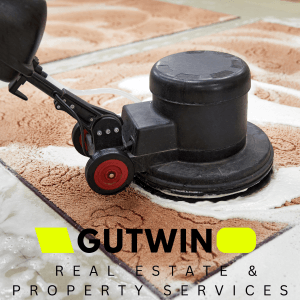 Dubinsko čišćenje tepisona rotacijskom četkom i ekstrakcijskim strojem – GUTWIN GOCLEAN®