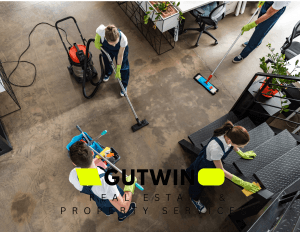 Generalno čišćenje stanova, kuća i zgrada Rijeka i okolica