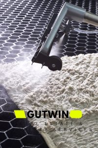 Dubinsko čišćenje tepiha u stambenim i poslovnim prostorima – GUTWIN GOCLEAN® parna ekološka tehnologija