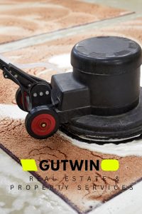 Dubinsko čišćenje tepisona rotacijskom četkom i ekstrakcijskim strojem – GUTWIN GOCLEAN®