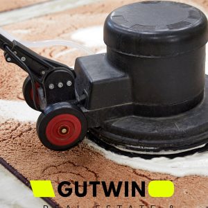 Dubinsko čišćenje tepisona rotacijskom četkom i ekstrakcijskim strojem – GUTWIN GOCLEAN®