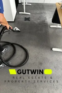 Dubinsko či&scaron;ćenje tepiha na adresi klijenta &ndash; GUTWIN servis za či&scaron;ćenje koristi GOCLEAN&reg; parnu metodu bez kemikalija